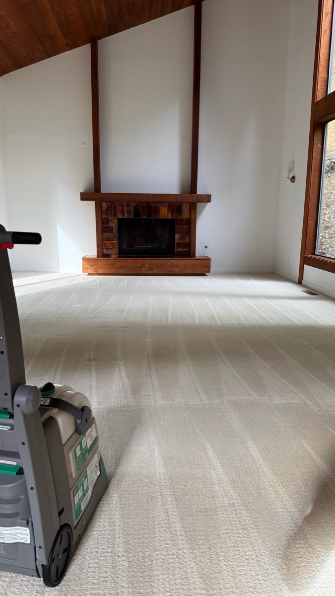 Professional carpet cleaning with extraction equipment